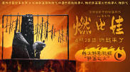 成人午夜视频在线观
